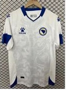 Bosnia and Herzegovina Player jersey